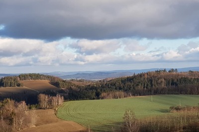 vysocina_lesy.jpg